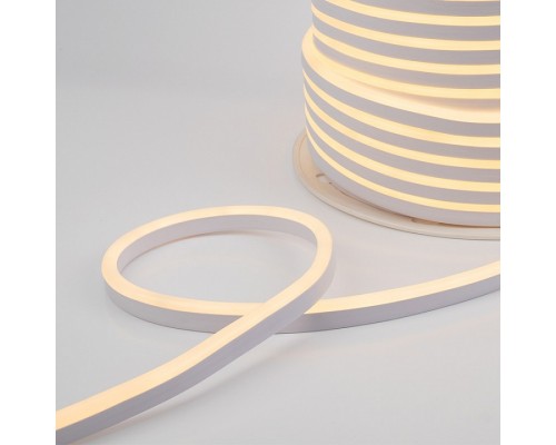 Шнур световой Professional 131-126