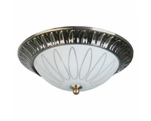 Накладной светильник TopLight Paulina TL5050Y-02AB Накладной светильник TopLight Paulina TL5050Y-02AB