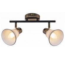 Светильник на штанге  05901-0.8-02 BK+FGD