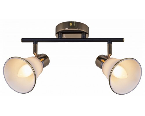 Светильник на штанге  05901-0.8-02 BK+FGD