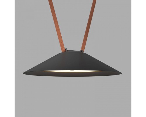 Накладной светильник Denkirs BELTY FLOW DK5565-BK Накладной светильник Denkirs BELTY FLOW DK5565-BK