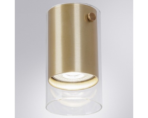 Накладной светильник Arte Lamp Lazio A5365PL-1SG