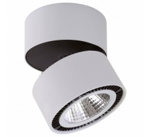 Накладной светильник Lightstar Forte Muro 214830