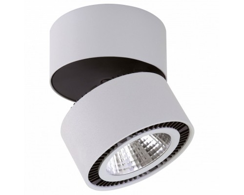 Светильник на штанге Lightstar Forte Muro LED 214830 Светильник на штанге Lightstar Forte Muro LED 214830