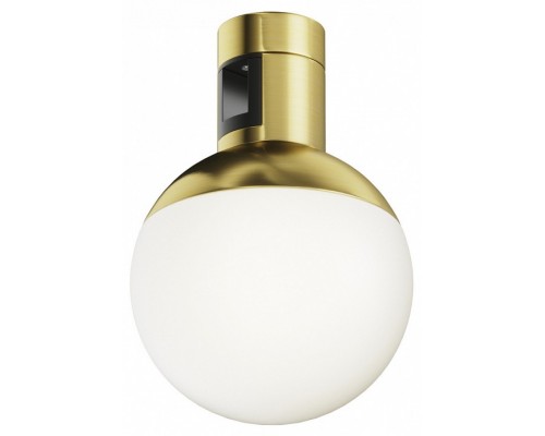 Накладной светильник Maytoni Technical Luna TR149-1-5W4K-BS