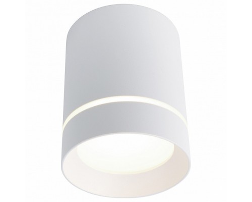 Накладной светильник Arte Lamp 1909 A1909PL-1WH Накладной светильник Arte Lamp 1909 A1909PL-1WH