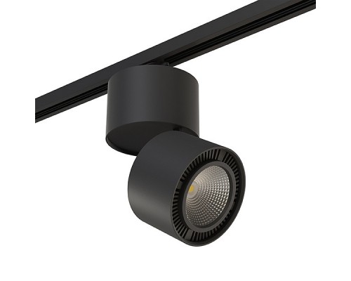 Светильник на штанге Lightstar Forte Muro A1T213817 Светильник на штанге Lightstar Forte Muro A1T213817