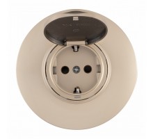 Розетка с заземлением и шторкой, с крышкой Arte Milano SET08-1 SET08-1-41-1 shampan