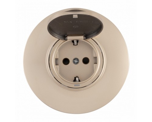 Розетка с заземлением и шторкой, с крышкой Arte Milano SET08-1 SET08-1-41-1 shampan