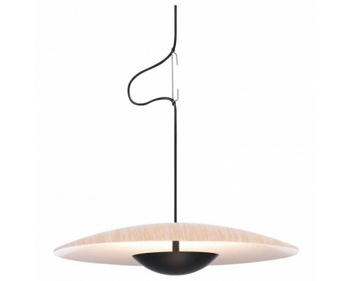 Подвесной светильник O-LUCE Ginger 17010521