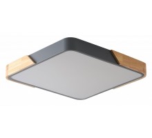 Накладной светильник Zortes Alberro ZRS.01288.60