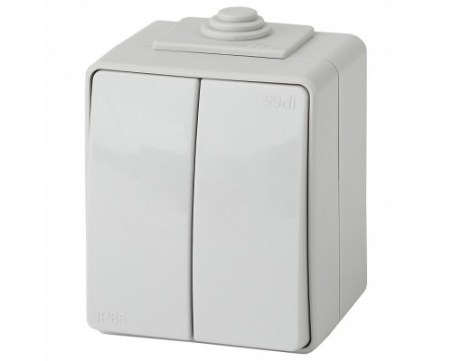 Переключатель двухклавишный Эра Эра Эксперт 11-1606-03