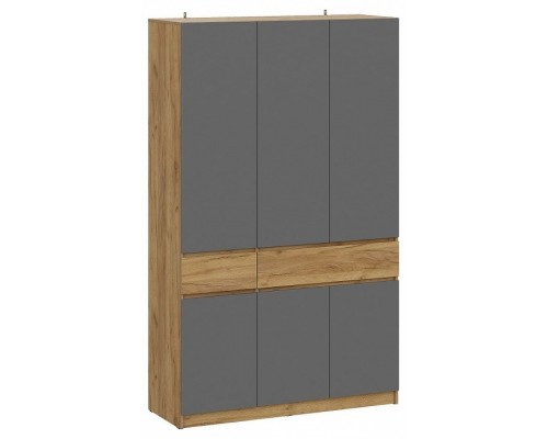 Шкаф платяной Авиньон