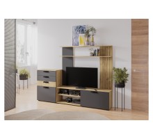 Стенка для гостиной Мишель