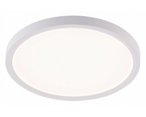 Накладной светильник Natali Kovaltseva PLAIN LED LAMPS 81113/2C
