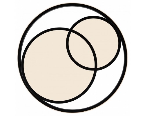 Накладной светильник Freya  FR10029CL-L70B