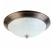 Накладной светильник TopLight Olive TL5030Y-02AB