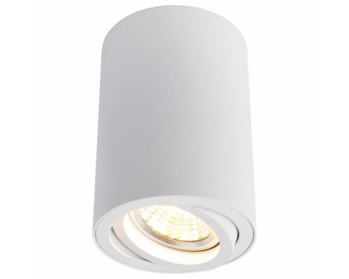 Накладной светильник Arte Lamp 1560 A1560PL-1WH Накладной светильник Arte Lamp 1560 A1560PL-1WH