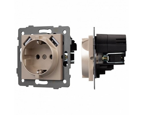Розетка с заземлением и 2хUSB type A, без рамки Arlight SCT 049821 Розетка с заземлением и 2хUSB type A, без рамки Arlight SCT 049821