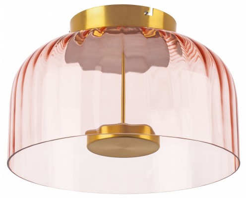 Накладной светильник Lightstar Celesta 809062 Накладной светильник Lightstar Celesta 809062