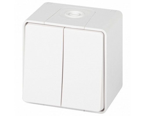 Переключатель двухклавишный Эра Эра Эксперт 11-1506-01