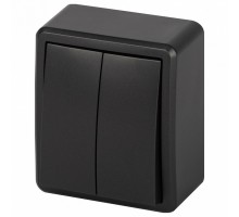 Выключатель двухклавишный Эра Эра Эксперт 11-1204-05