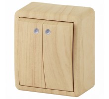 Выключатель двухклавишный с подсветкой Эра Эра Эксперт 11-1205-11