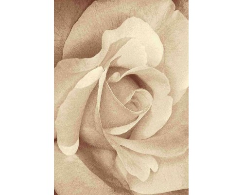 Ковер интерьерный (240x350 см) Hunnu Relief