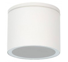 Накладной светильник Arte Lamp Piautos A1913PF-1WH