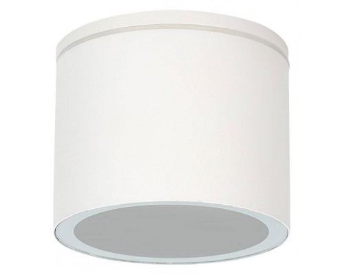 Накладной светильник Arte Lamp Piautos A1913PF-1WH Накладной светильник Arte Lamp Piautos A1913PF-1WH