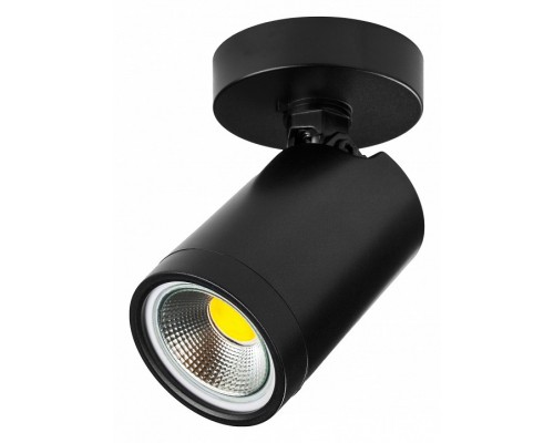 Светильник на штанге Lightstar Rullo 213407 Светильник на штанге Lightstar Rullo 213407