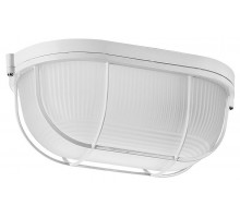 Накладной светильник Wolta  ДПБ04-100-002