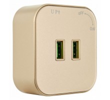 Розетка 2xUSB на треке Arte Milano Am-track-sockets 380022TS/USBx2 Gold