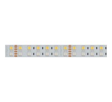 Лента светодиодная Arlight  018144(2)