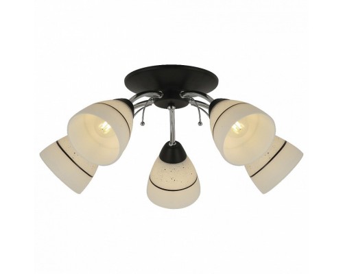 Потолочная люстра TopLight Winnifred TL1255D-05BC Потолочная люстра TopLight Winnifred TL1255D-05BC