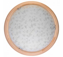 Накладной светильник TopLight Beatrice TL9280Y-00PN