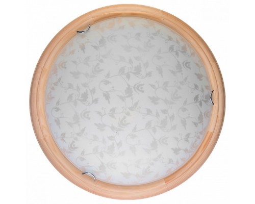 Накладной светильник TopLight Beatrice TL9280Y-00PN Накладной светильник TopLight Beatrice TL9280Y-00PN