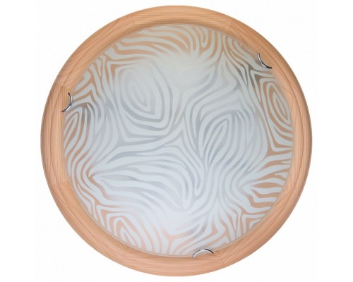 Накладной светильник TopLight Agatha TL9260Y-00PN