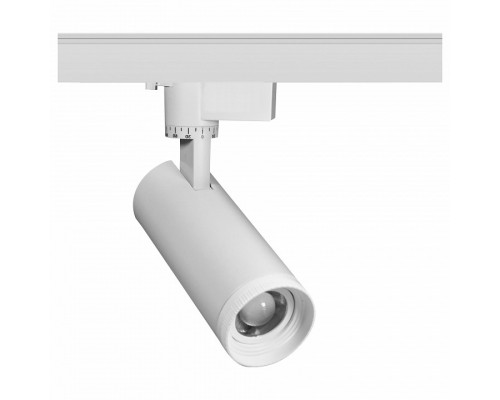 Светильник на штанге Эра TR59 - 2030 WH Светильник на штанге Эра TR59 - 2030 WH