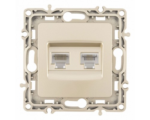 Розетка двойная RJ-11 и Ethernet RJ-45, без рамки Arte Milano am-217 217.44-1.shampan Розетка двойная RJ-11 и Ethernet RJ-45, без рамки Arte Milano am-217 217.44-1.shampan