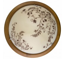 Накладной светильник TopLight Irene TL9630Y-00OA