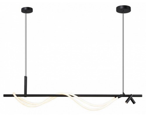 Светильник на штанге Aployt Sindrillon APL.773.03.69