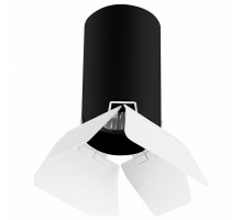 Накладной светильник Lightstar Rullo R437436