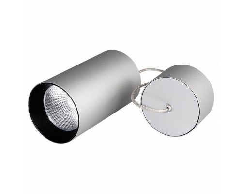 Подвесной светильник Arlight Sp-polo-r85 SP-POLO-R85-2-15W Day White 40deg (Silver, Black Ring) Подвесной светильник Arlight Sp-polo-r85 SP-POLO-R85-2-15W Day White 40deg (Silver, Black Ring)