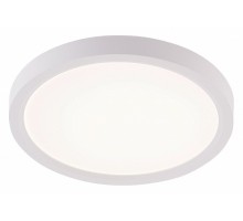 Накладной светильник Natali Kovaltseva PLAIN LED LAMPS 81113/1C