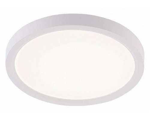 Накладной светильник Natali Kovaltseva PLAIN LED LAMPS 81113/1C Накладной светильник Natali Kovaltseva PLAIN LED LAMPS 81113/1C