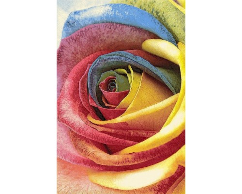 Ковер интерьерный (240x340 см) Hunnu Ковер интерьерный (240x340 см) Hunnu