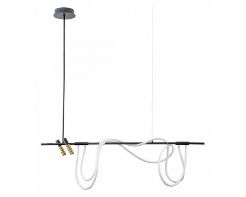 Светильник на штанге Arte Lamp Klimt A2850SP-45BK Светильник на штанге Arte Lamp Klimt A2850SP-45BK
