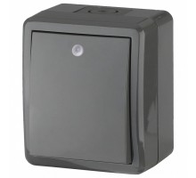 Выключатель одноклавишный с подсветкой Эра Эра Эксперт 11-1402-03