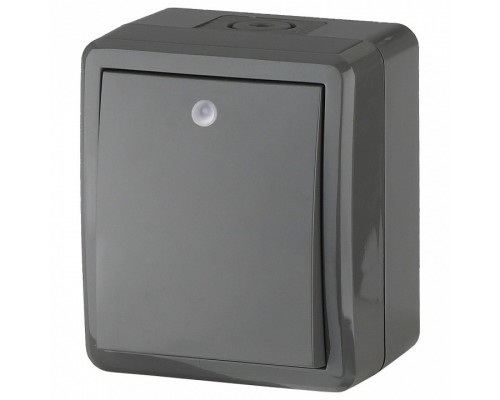 Выключатель одноклавишный с подсветкой Эра Эра Эксперт 11-1402-03